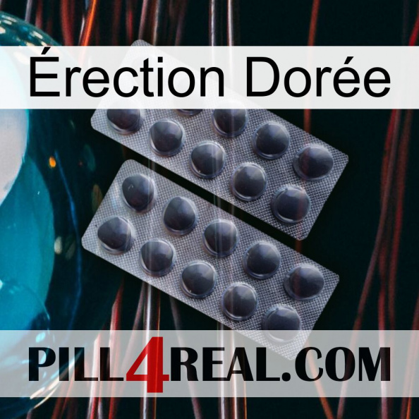 Érection Dorée 31